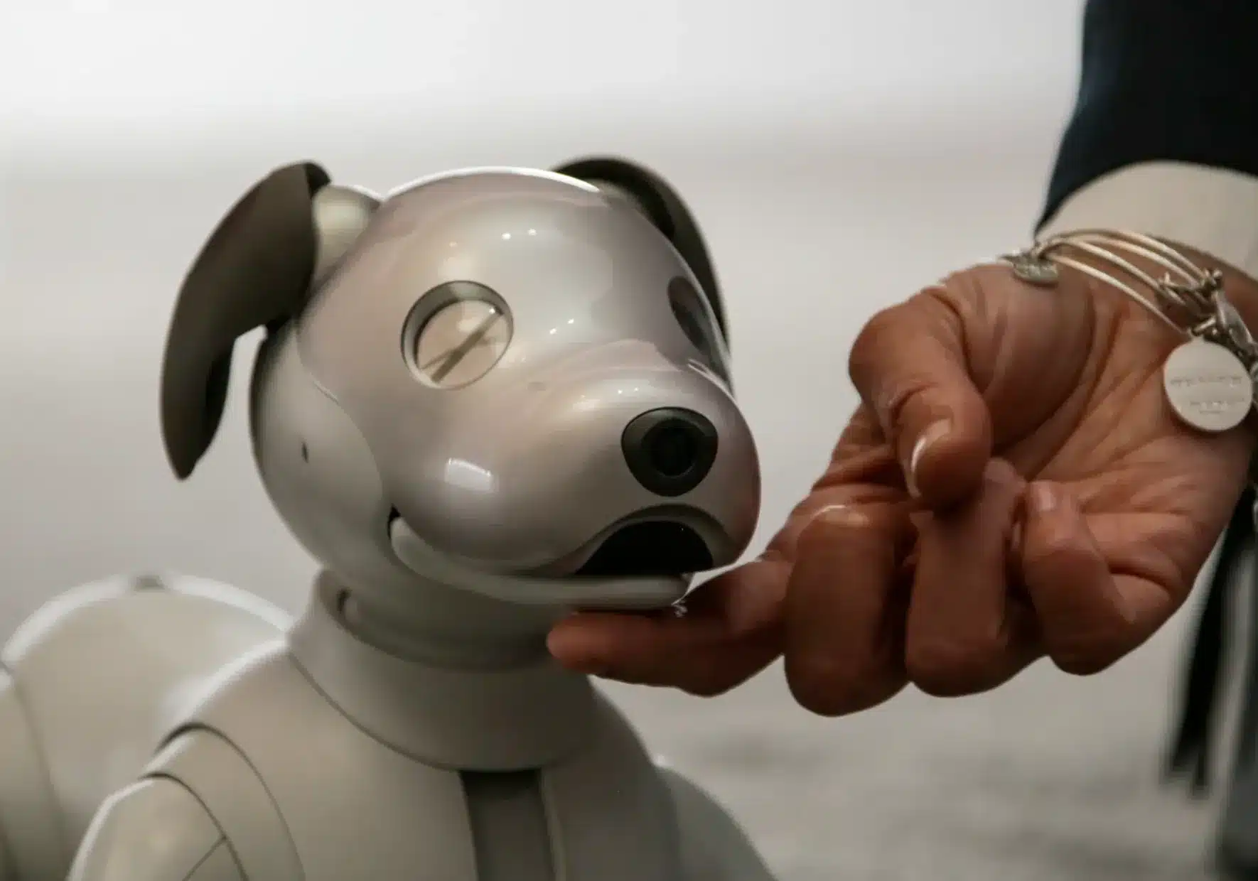 Aibo