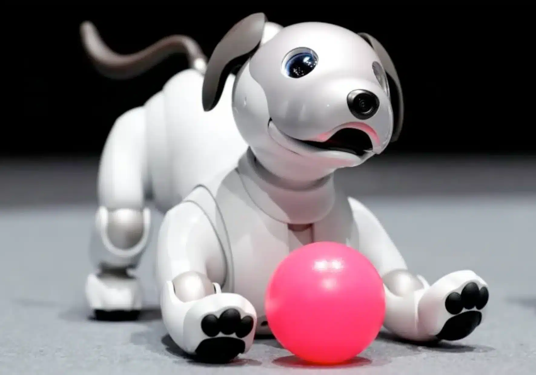Aibo