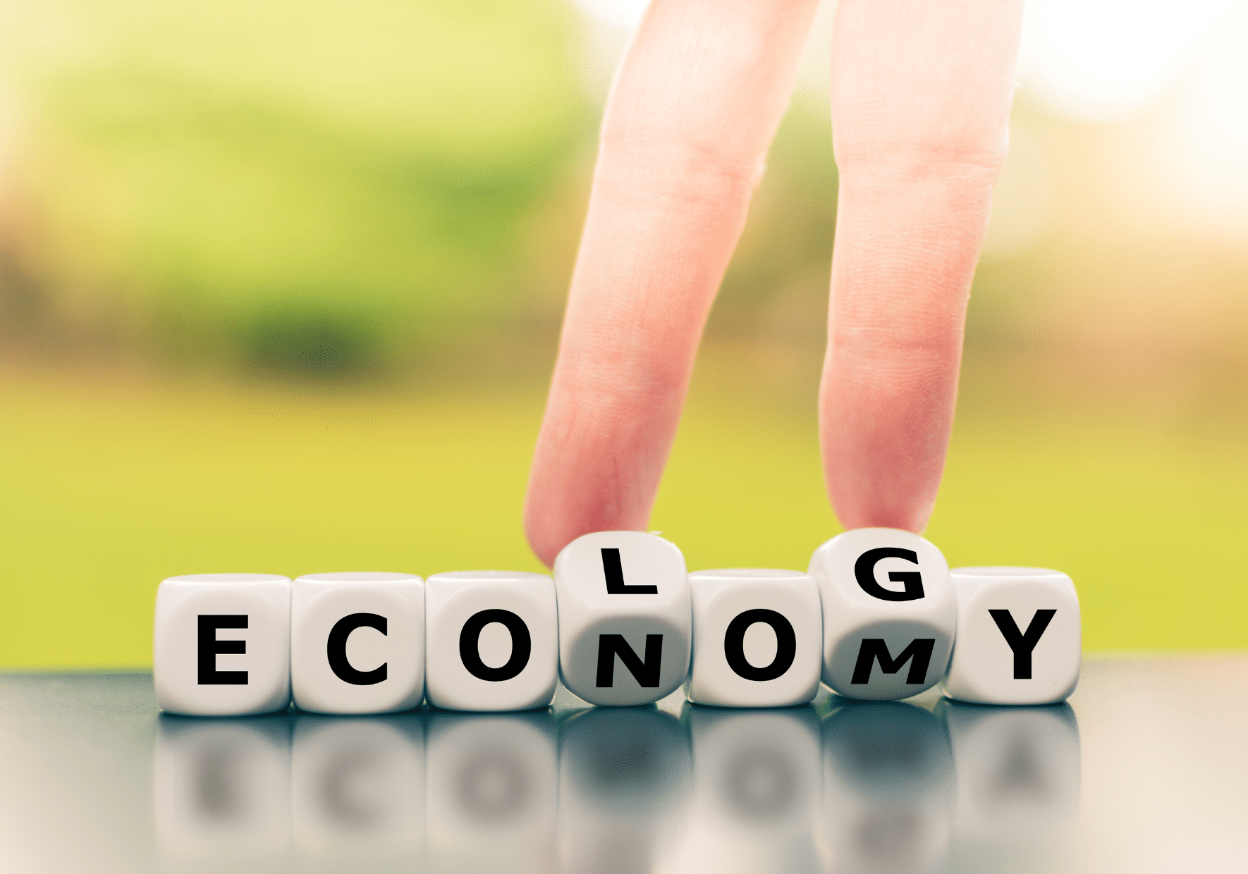 Ecologie reconditionné